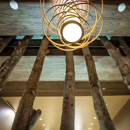 Hotel Homewood By Hilton Ballantyne, Nc