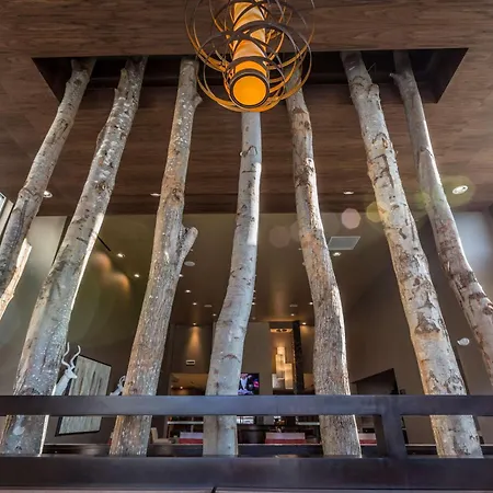 Homewood By Hilton Ballantyne, Nc 3* Charlotte
