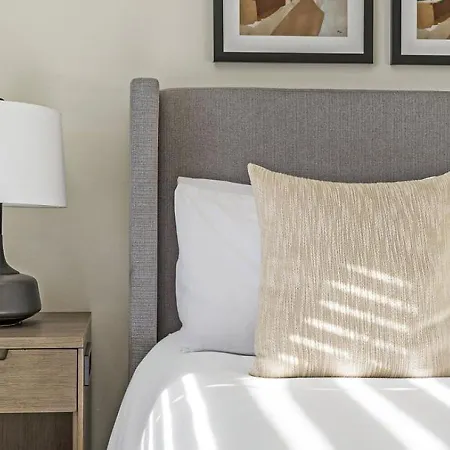 Apartment Landing Modern With Amazing Amenities