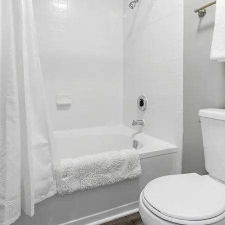 Landing Modern With Amazing Amenities Apartment Charlotte