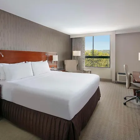 Sonesta Lower South End 4* Charlotte