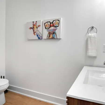 Apartment Spacious 3br Oasis On Grandin Road Charlotte