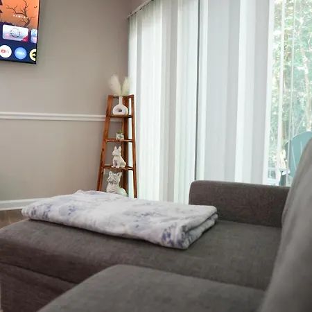 Luxury & Convenience In South End Apartment *