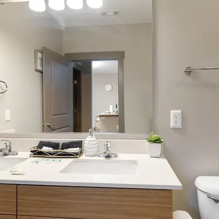 2ba/2br Uptown Loft 5 Mins To Panthers Stadium_319 Apartment *