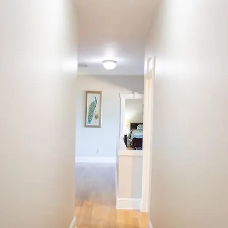 Spacious And Stylish House *