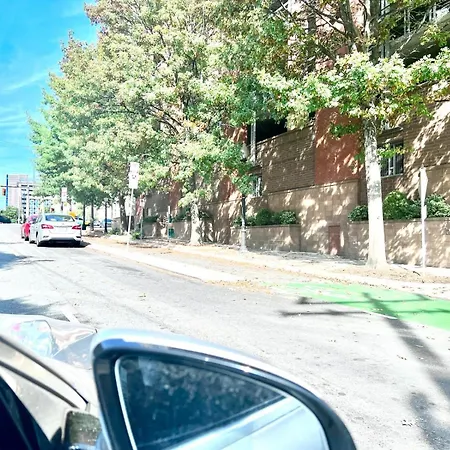 Beautiful Uptown Adventure * Charlotte