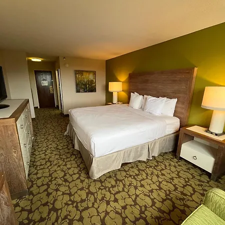Ramada Plaza By Wyndham South End Airport 3*