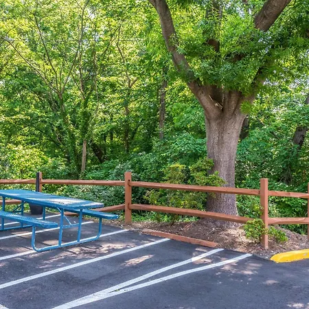 Comfort Airport Uptown Inn 3*