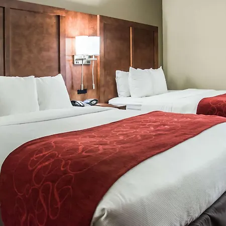 Hotel Comfort - Research Park Charlotte