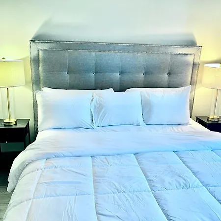 Apartment Uptown Modern 2br Charlotte