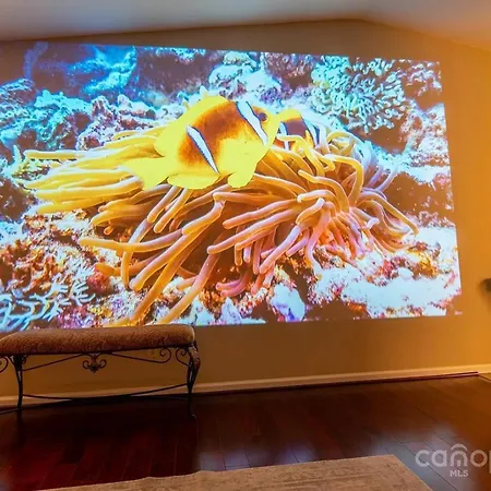 The Davis Den Stylish Pet-friendly Escape Holiday home