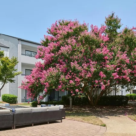 Courtyard Arrowood Hotel Charlotte