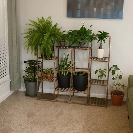Matthews Oasis