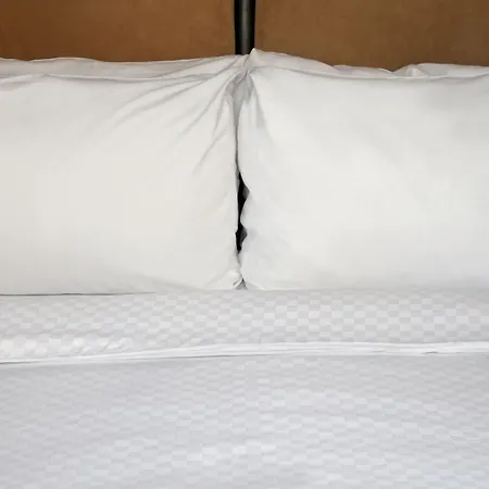 Hotel Sheraton Airport 4*