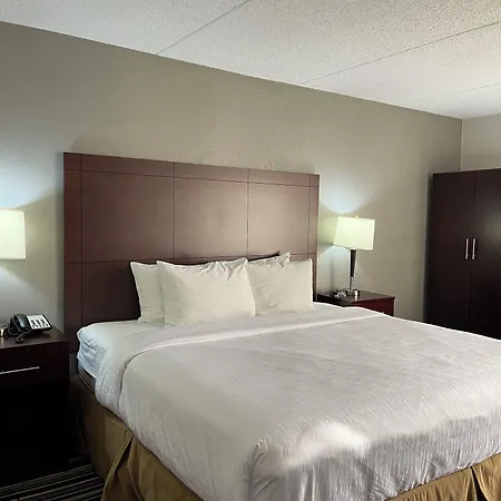 Wyndham Garden Airport Southeast Hotel 3*