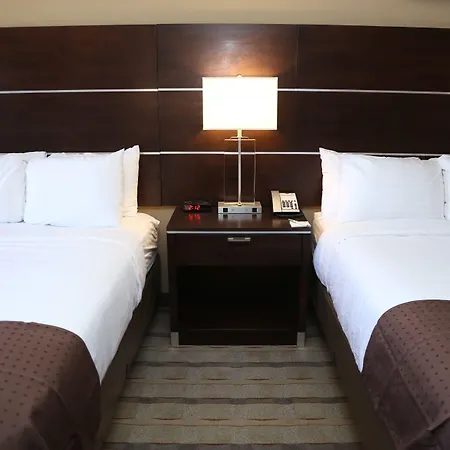 Hotel Airport By Ihg 3*