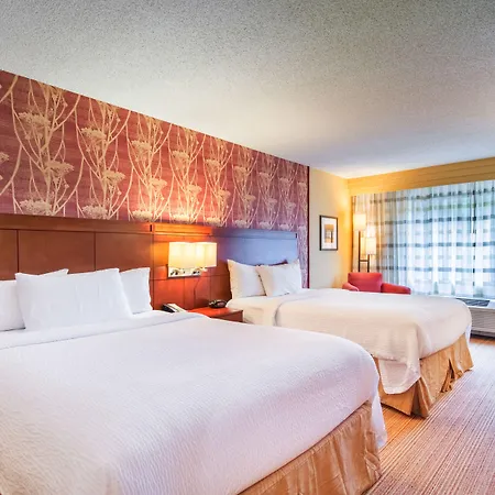 Courtyard By Marriott Airport Loso Hotel Charlotte