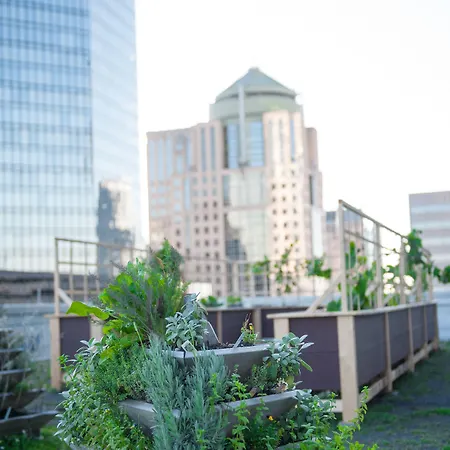 The Ritz-carlton, Hotel Charlotte