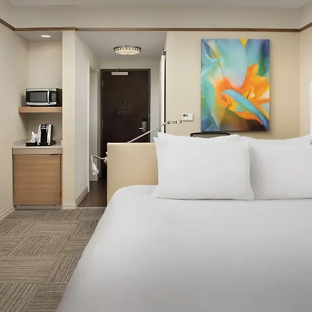 Hilton Garden Airport 3*