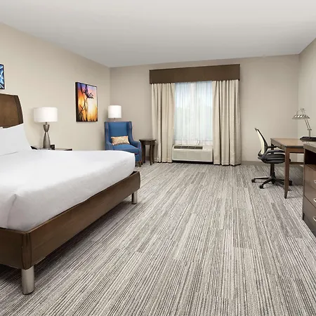 Hotel Hilton Garden Airport 3*