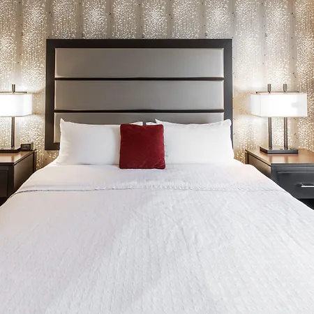 Homewood By Hilton Ballantyne, Nc Hotel