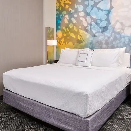 Courtyard By Marriott Northlake 2* Charlotte