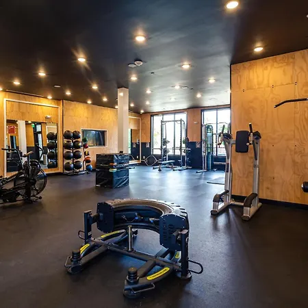 Kasa Freemorewest Charlotte