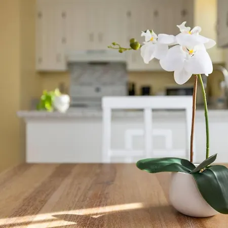 New! Special Intro Rates! Lovely 2 Bedroom * Charlotte
