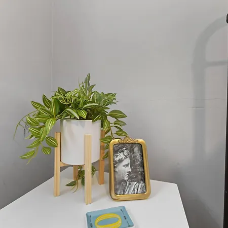 Optimist Abode 3: <7min To Noda-midwood-uptown Apartment *
