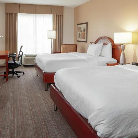 Hilton Garden North Hotel 3*