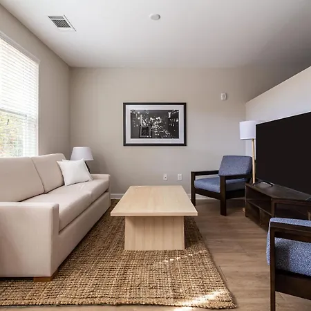 Kasa Freemorewest Charlotte