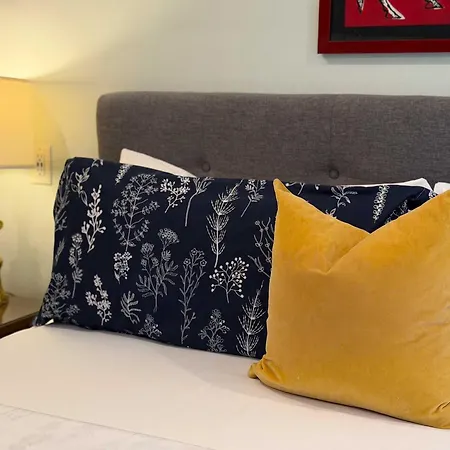 Stylish 1br In Myers Park Holiday home Charlotte