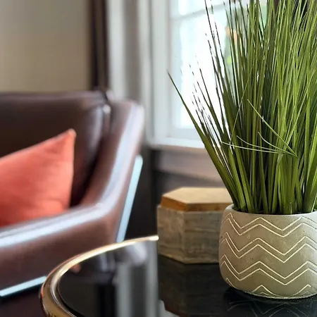 Comfortable And Stylish Near Myers Park * Charlotte