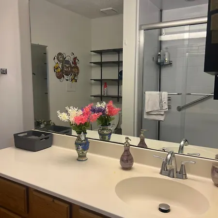 Comfort Home, Near Uptown And Airport Charlotte