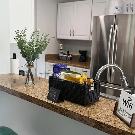 Apartment Modern Luxe Retreat Free Parking King Beds Charlotte