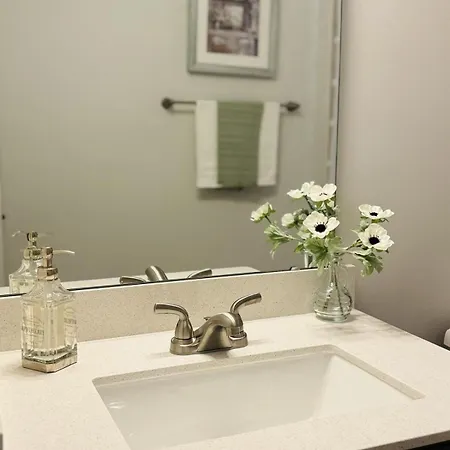 Sloan Garden House Modern Townhome Near South End Apartment