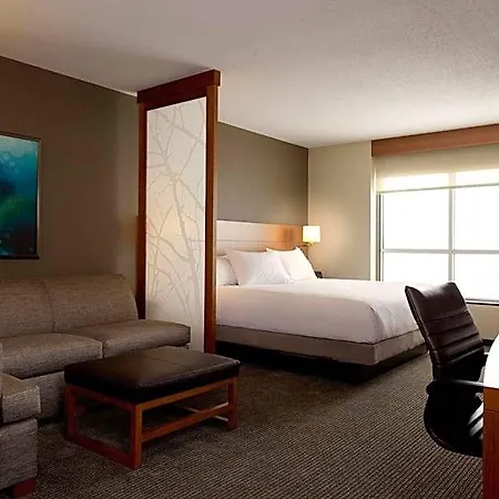 Hotel Hyatt Place Downtown