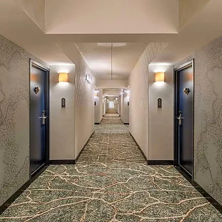 Hotel The Mecklen Hotel, Charlotte, A Tribute Portfolio Charlotte