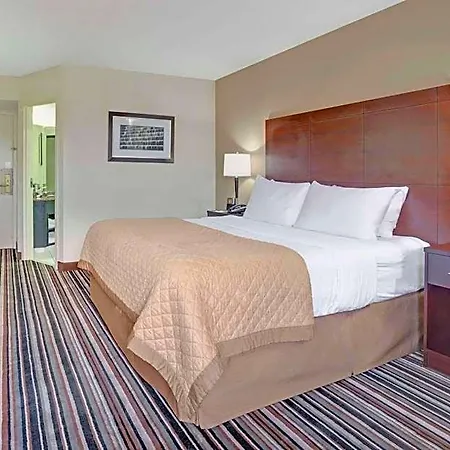 Wyndham Garden Airport Southeast 3* Charlotte