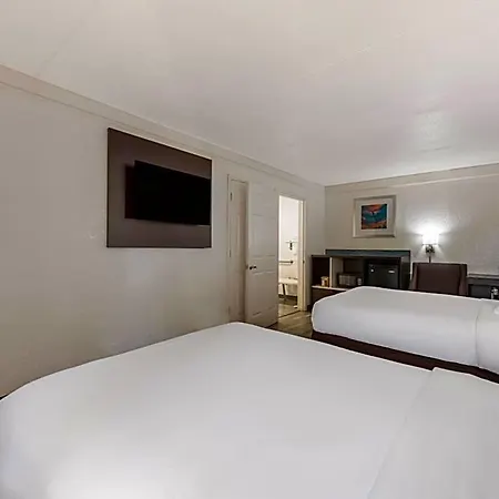 Quality & Airport Hotel