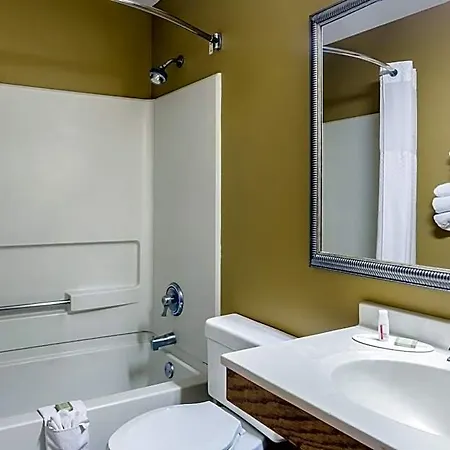 Hotel Super 8 By Wyndham Charlotte/amusement Park Area *