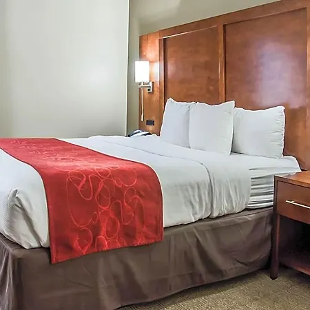 Hotel Comfort - Research Park Charlotte