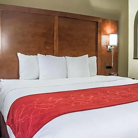 Comfort - Research Park 4*
