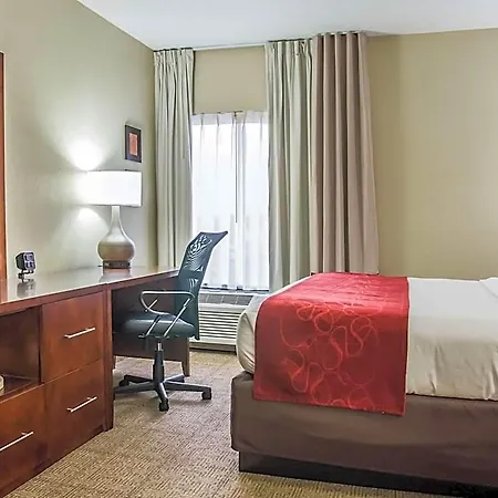 Comfort - Research Park Hotel Charlotte