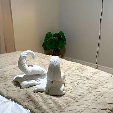 Apartment Be Our Guest Boho 2.0