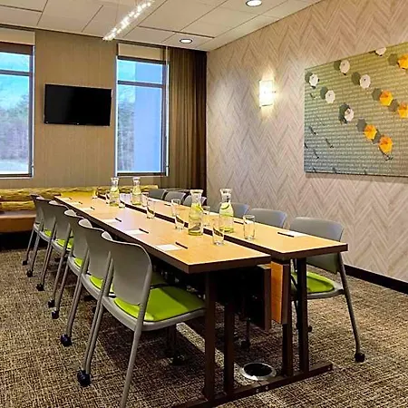 Hotel Springhill By Marriott At Carowinds 3*
