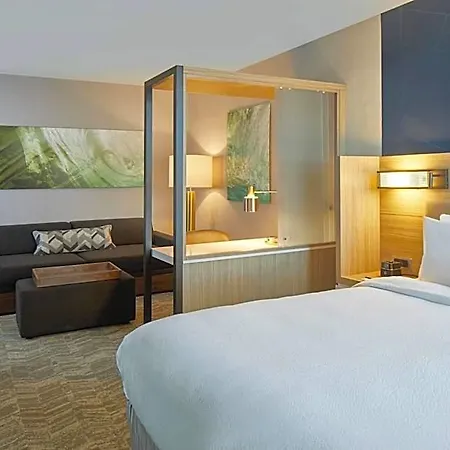 Hotel Springhill By Marriott At Carowinds