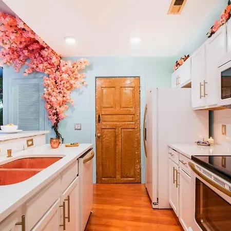 Alice & Wonderland Wellness Themed Uptown Spot Charlotte