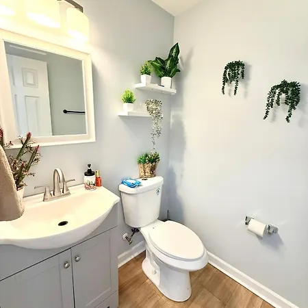 Uptown Airport Hub Holiday home Charlotte