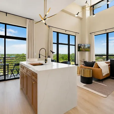 The Eighth Luxury Penthouse In Fourth Ward Charlotte